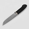 Нож Панцуй (М390, Микарта) 2
