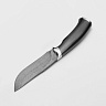 Нож Сеголеток (Дамасская сталь, Дерево, Белый металл) 3