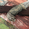 Нож Восток с элементами змеи (дамаск, карельская береза) 3