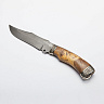 Нож Медведь (ХВ5-Алмазная сталь, Кап клена, Мельхиор) 1