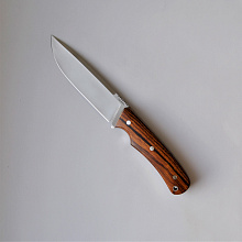 Нож цельнометаллический Акула (Сталь М390, Айронвуд)