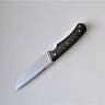 Нож цельнометаллический Акула (Сталь S390, Карбон) 2
