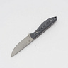 Нож цельнометаллический FRY (Сталь N690, накладки из микарты) 2
