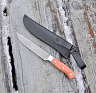 Кухонный нож МТ-51 (Х12МФ, Бубинго, Ц/м) 2