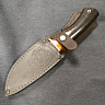 Нож Егерь 1 (N690, Ценная порода дерева) 4