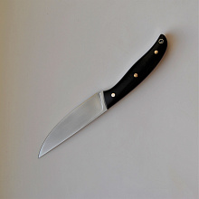 Нож Гавиал (N690, G10)