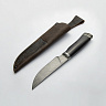 Нож Егерь (ХВ5-Алмазная сталь, Граб, Мельхиор) 3
