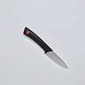 Нож кухонный для чистки овощей и фруктов (Paring knife) R-4373 (Сталь 40Cr14, Рукоять - ABS) 2
