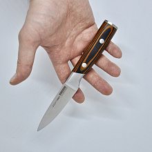 Кухонный малый нож №3,5 R-4173 Premium quality (Сталь 40Cr14, Рукоять - дерево)