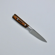 Кухонный малый нож №3,5 R-4173 Premium quality (Сталь 40Cr14, Рукоять - дерево)