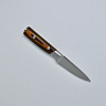 Кухонный малый нож №3,5 R-4173 Premium quality (Сталь 40Cr14, Рукоять - дерево) 1
