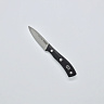 Нож кухонный для чистки овощей и фруктов (Paring knife) R-4273 (Сталь 40Cr14, Рукоять - ABS) 1