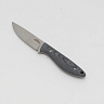 Нож цельнометаллический FRY (Сталь N690, накладки из микарты) 4