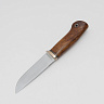 Нож Клык (Сталь CPM REX 121, рукоять Айрен Вуд) 4