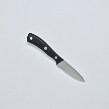 Нож кухонный для чистки овощей и фруктов (Paring knife) R-4273 (Сталь 40Cr14, Рукоять - ABS)