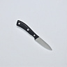 Нож кухонный для чистки овощей и фруктов (Paring knife) R-4273 (Сталь 40Cr14, Рукоять - ABS) 2