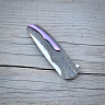Нож складной "Реликт" (х12мф тигельной плавки, обкладки - карбон) 5