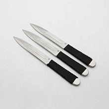 Аст-3, комплект из 3 ножей (65Х13)