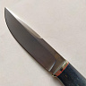 Нож Соболь (D2,мельхиор,стабилизированная карельская берёза) 3