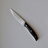 Нож Гавиал (N690, G10) 1