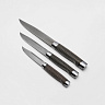Нож Финка Егора Самсонова комплект из 3-х ножей (Дамасская сталь, Покрытие белым металлом) 1